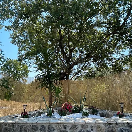 House Lantanna